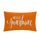  2pack Farmhouse Decor Pillow Covers Hello 20  X 12   pack Of 2  Orange