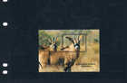 2 3 Off  7 00 Scott Value - 2009 Malawi Wildlife S s Roan Antelope Mnh Nh Umm