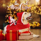 Bwogue Santa Dog Costume Christmas Pet Cosplay
