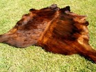 New Large Brindle Brown Cowhide Rug Natural Cowhides Cow Hide Skin 6x6 Feet Rrs
