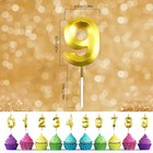 Birthday Candles For Cake  Gold Number 9 Birthday Candles  Happy Birthday