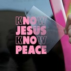 Ce Car Decal Funny Christian Religious Jesus Bible Verse Know Jesus Know Pea