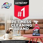 Resolve Ultra Pet Odor And Stain Remover Spray     Carpet Cleaner For Cat And 