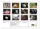 Calendar 2027    Us Version    Wild Animals - Wild Animals  wall Calendar 2027 17 