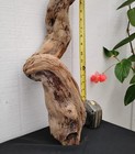 Driftwood Branch Woodworking Decorative Diy Cool Twists
