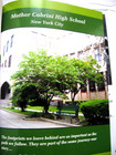 Mother Cabrini Catholic High School 2014 Senior Class Yearbook New York  Ny
