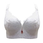 Sexy Lace Bras For Women Push Up Underwire Top Underwear Plus Size C D E Cup Bra