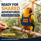 Parrot Bird Harness Flight Vest Optional 2m Leash Cockatiel Budgie S M L Outdoor