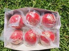 Bat Friendly 4-piece 142gm  Junior High Quality Leather Red Cricket Balls X 6
