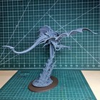 Space Bug Harpy Or Hive Crone