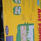 Uncle Milton s Ant Farm Live Ant Habitat Educational Kit  Age 12-16   Up