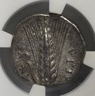 Lucania  Metapontum - C 340-330 Bc - Ar Stater - Ngc Vf