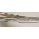Bird-x Coyote Coyote  2-d 4 Lb  coraplast