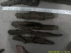 Cottonwood Bark For Carving  12  - 20  Long   2  Thick   13 Pieces