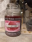 Yankee Candle Retired Black Band Rasberry Sorbet Large 22 Oz White Label