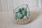 Fake Succulents