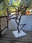 Manzanita Wood Parrot Perch With A Manzanita Rope Ladder   5  Steel Food Bowl