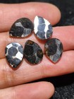 5pc Kenya Sericho Pallasite Iron Meteorite Specimen