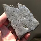 Natural Aletai Iron Meteorite 458 3 Grams Cut Slabs Etched Perfect Fusion Crust