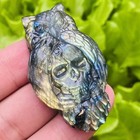 Teamwill 1pc Natural Labradorite Quartz Crystal Carved Owl Skull Small
