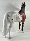 Custom Painted Ps Morgan  Bay Pintaloosa
