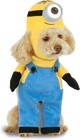 Halloween Ready Minion Stuart Costume For Medium Dogs   Cats - Adorable Dress-up