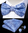 Blue Paisley Mens Bowtie Pretied Bow Ties Hankie Cufflinks Set Wedding Event