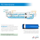 Commercial Reverse Osmosis Standard Size Ro Membrane 3012- 400 Gpd 