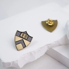 Princeton University Logo Pin
