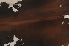 New Cowhide Rugs Area Cow Skin Leather 14 69 Sq feet  47 x45   Cow Hide U-1281