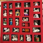 1996 Disney 101 Dalmatians Complete Mcdonalds Happy Meal Collector Set Box Coa