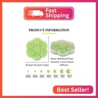 5600pcs Half Round Pearls Flatback Imitation Pearls For Crafts 7 Sizes For Diy N