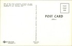 Vintage Florida Cypress Gardens Sausage Tree Postcard Pretty Girl In Dress