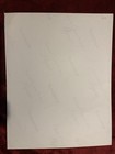 Vintage 1963 Chicago Bears Football World Champions Team Photo