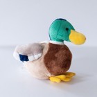 Ganz Mallard Duck Plush Stuffed Animal Green Head Brown Body  no Code 