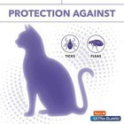 Hartz Ultraguard Flea   Tick Collar For Cats   Kittens 7 Months Protection  1ct