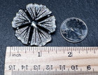 Vintage Gerry s Leafy Flower Silver Tone 1 5  Pin Brooch E244