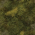 Flg Mats  Swamp 2
