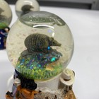 Set Of 3  Texas Snow Globe Armadillo Souvenir Mini Collectible Trinket Decor
