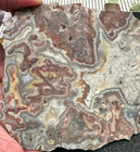 Crazy Lace Agate Unfinished Slab  Great For Cabbing 4 98oz   1026 