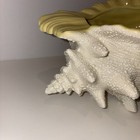 Vintage Sea Shell Conch Ceramic Planter Atlantic Mold Yellow White Seashell