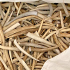 7  Deer Antler For Knife Scales     Handle Making  Carving  Craft Supply