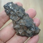 Natural Sericho Pallasite Meteorite Perfect End Cut Perfect Glaze Seal Display