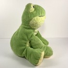 Ty Pluffies Leapers The Green Frog Plush  8  Stuffed Animal 2006 Tylux