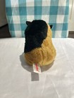Aurora Guinea Pig Stuffed Animal 6    Cute Black And Brown