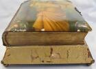 Victorian Photograph Album Celluloid Woman Flowers Music Box 25 Pics O As Is