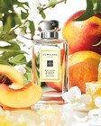 New Sealed Box Nectarine Blossom   Honey Gift 3 4 Oz  100ml Eau De Parfum 