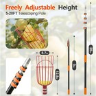 Fruit Picker  5-20ft Telescoping Pole With Pre-assembled Basket Just