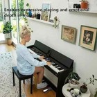 Sustain Pedal For Keyboard Universal  Premium Piano Pedal For Keyboard