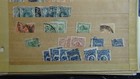 Stampsweis Uruguay Classic Stamp Collection On Stock Est 500 Or So Stamps